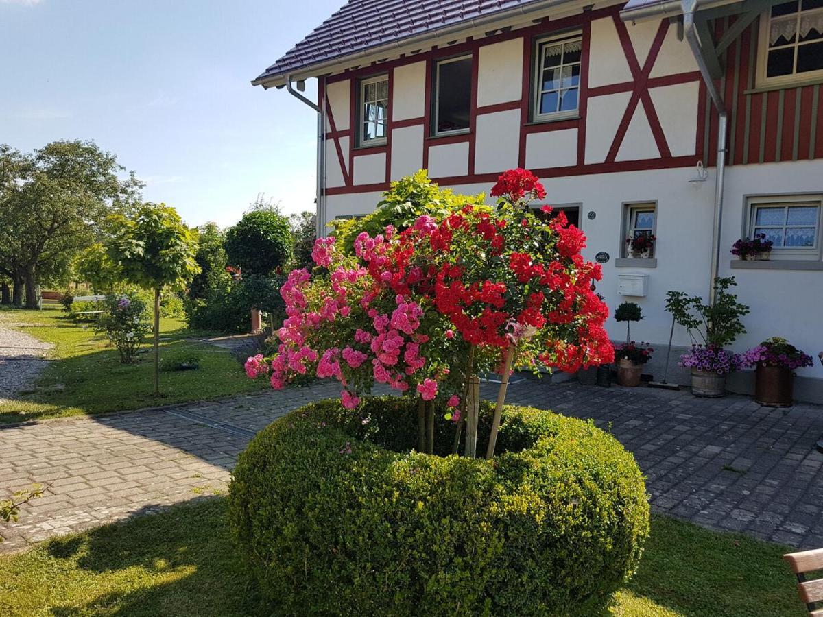 Landgut Apfelrose Hotel Friedrichshafen Bagian luar foto