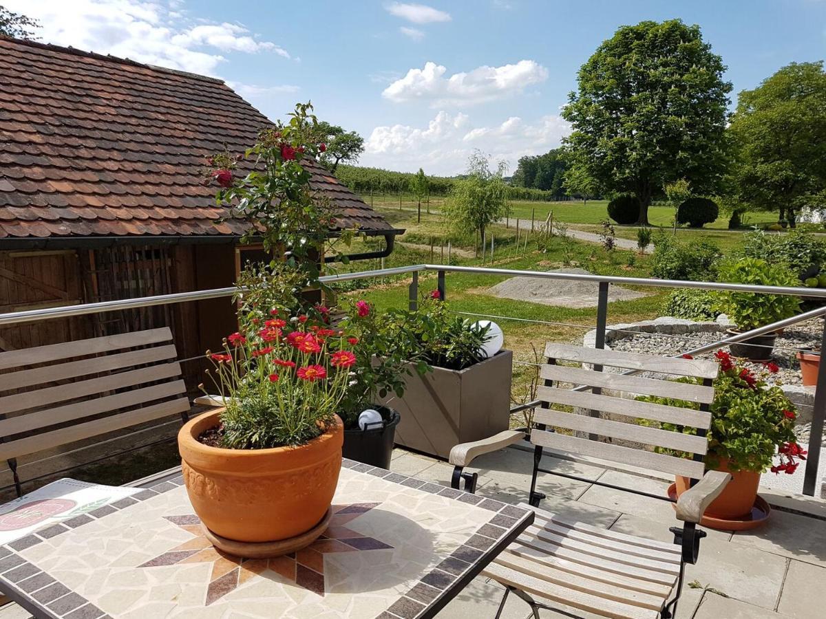 Landgut Apfelrose Hotel Friedrichshafen Bagian luar foto
