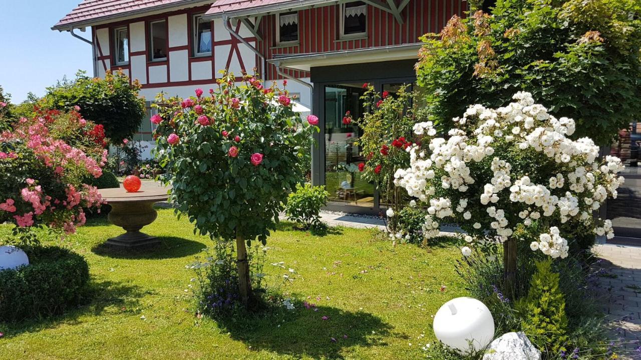 Landgut Apfelrose Hotel Friedrichshafen Bagian luar foto
