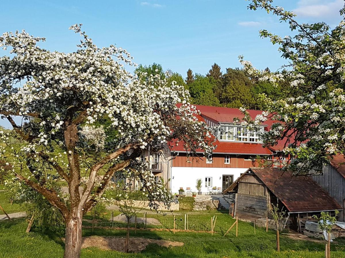 Landgut Apfelrose Hotel Friedrichshafen Bagian luar foto