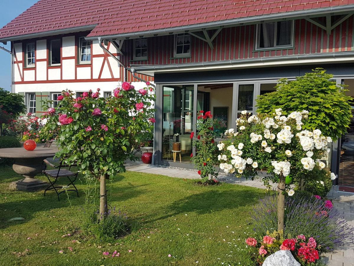 Landgut Apfelrose Hotel Friedrichshafen Bagian luar foto