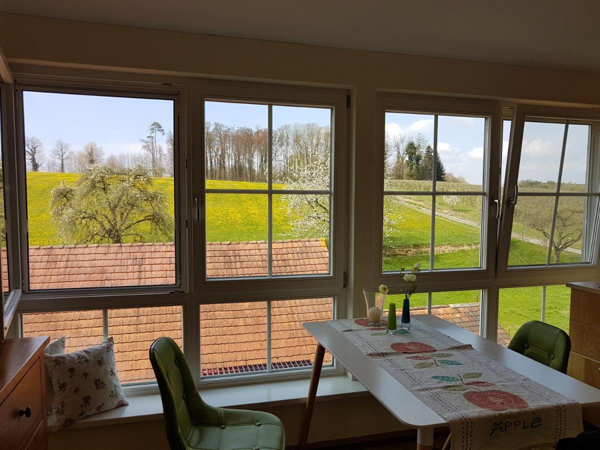 Landgut Apfelrose Hotel Friedrichshafen Bagian luar foto