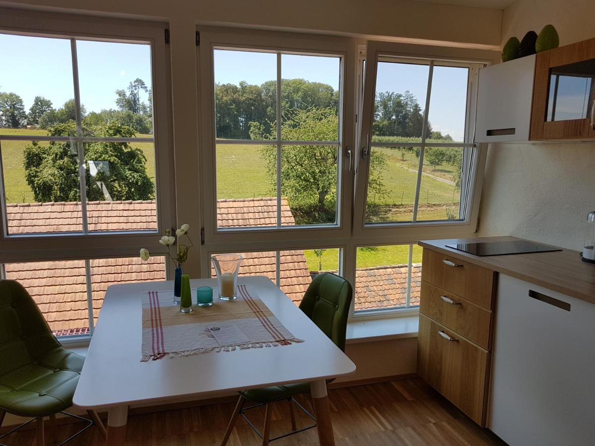 Landgut Apfelrose Hotel Friedrichshafen Bagian luar foto