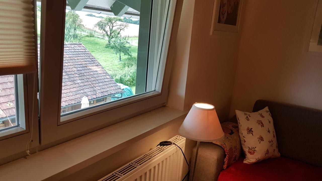 Landgut Apfelrose Hotel Friedrichshafen Bagian luar foto