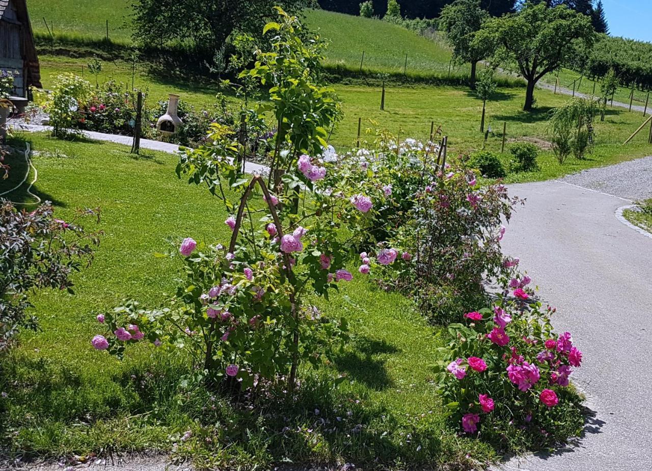 Landgut Apfelrose Hotel Friedrichshafen Bagian luar foto