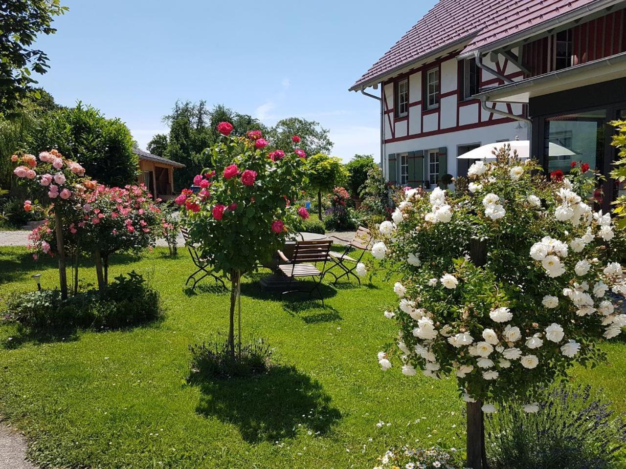 Landgut Apfelrose Hotel Friedrichshafen Bagian luar foto