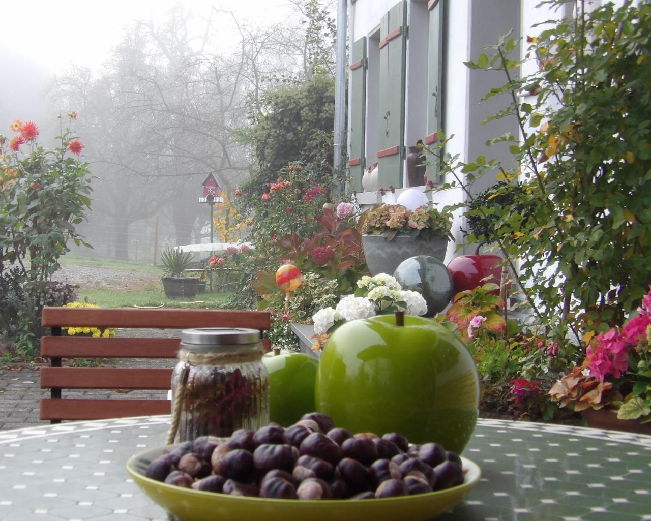 Landgut Apfelrose Hotel Friedrichshafen Bagian luar foto