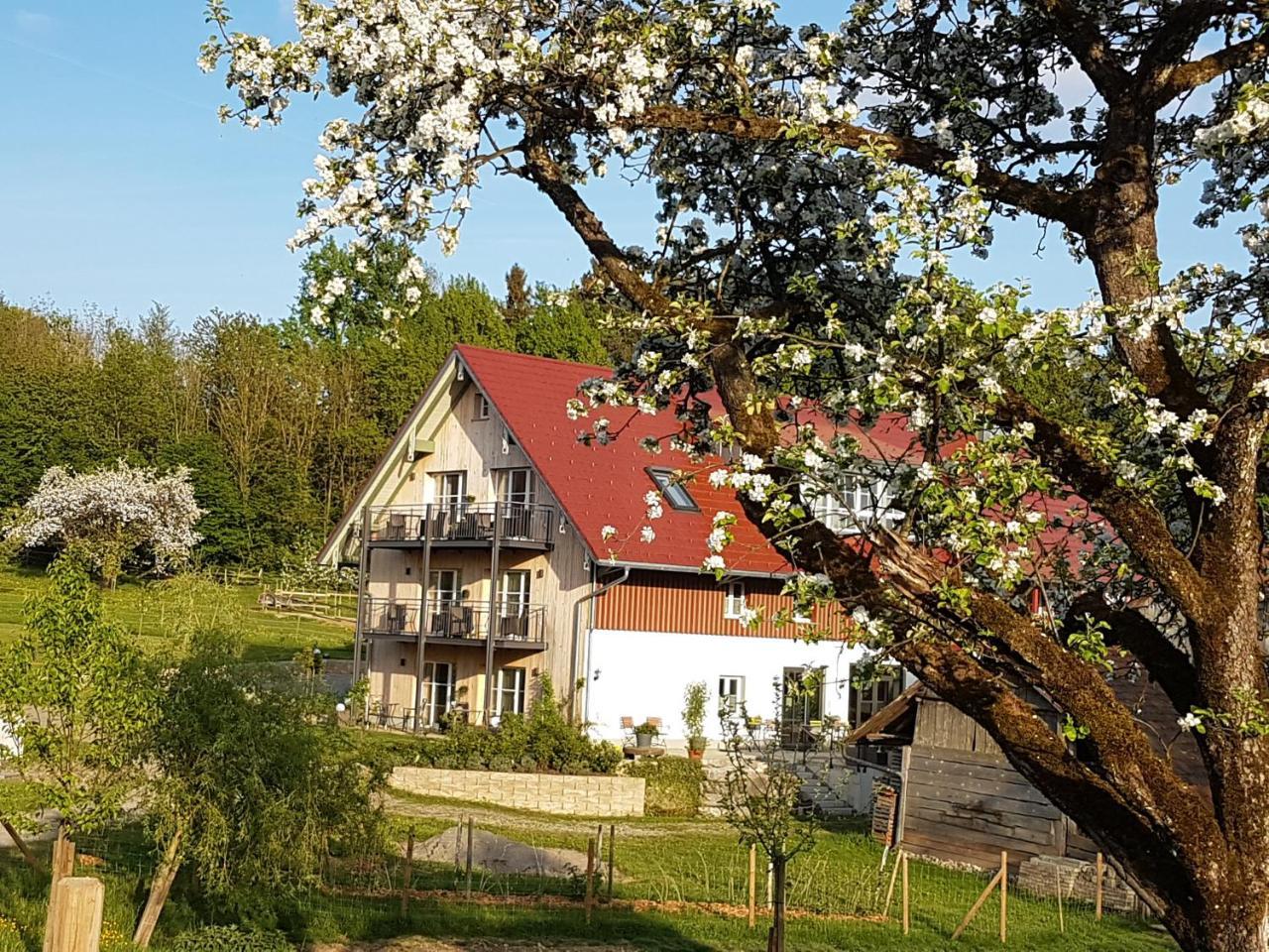 Landgut Apfelrose Hotel Friedrichshafen Bagian luar foto